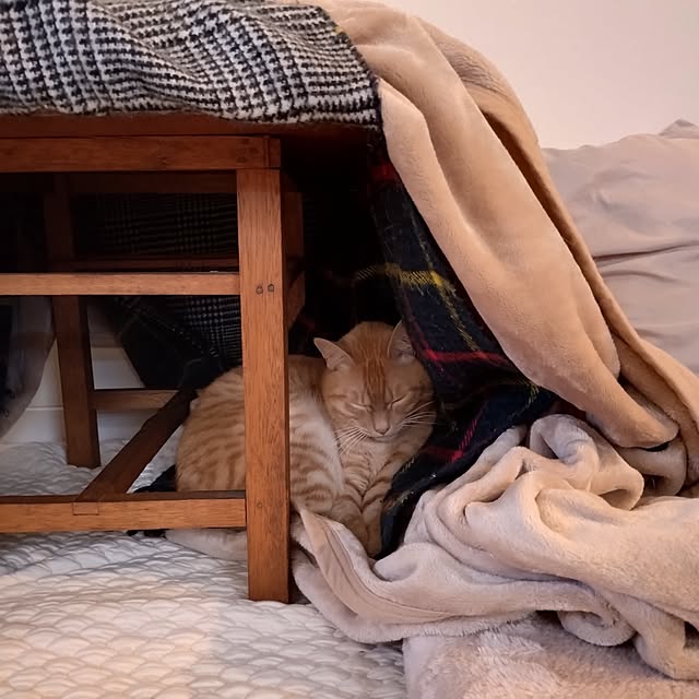 mayutan.さんの部屋