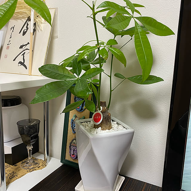 konekoginjiさんの実例写真