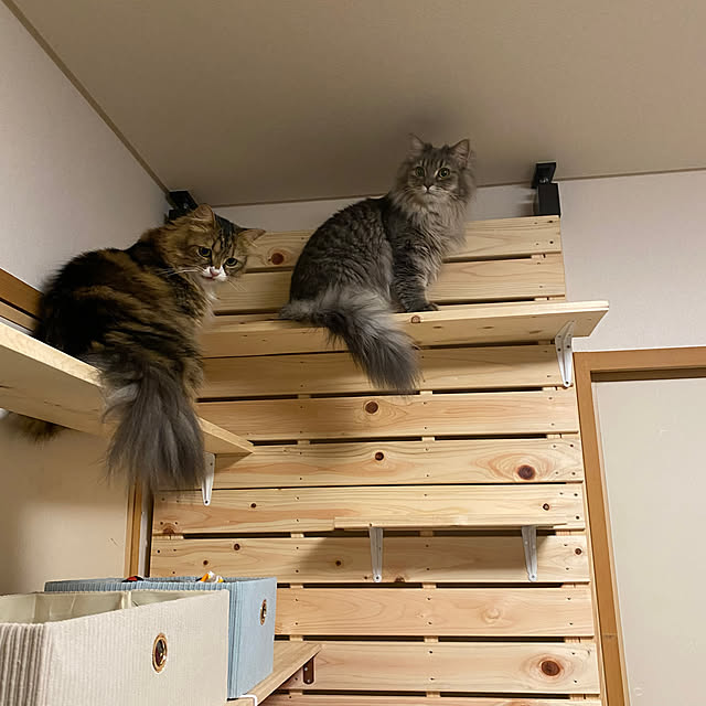 yokoさんの部屋