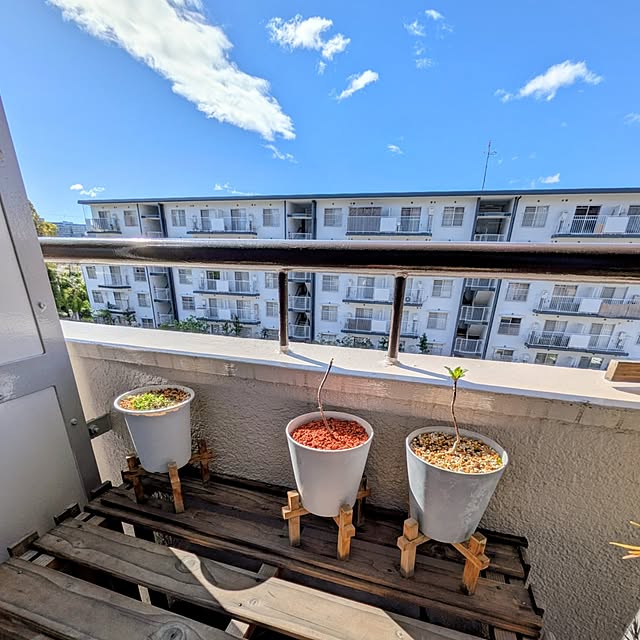 mi-saさんの実例写真