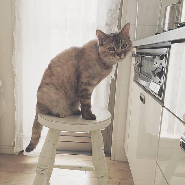mimiさんの実例写真