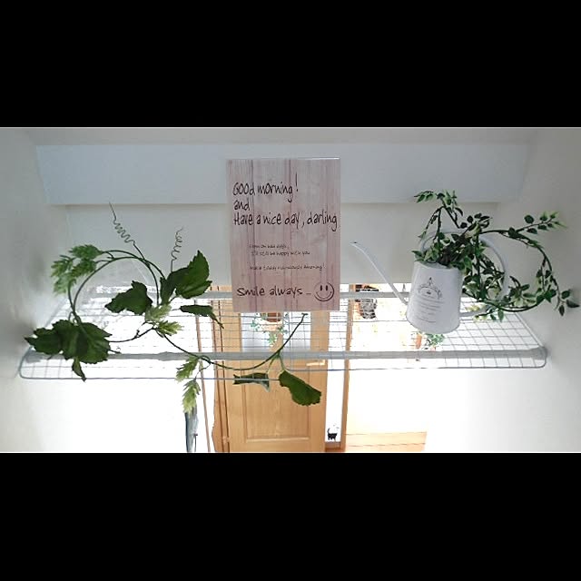 god__flowerさんの実例写真