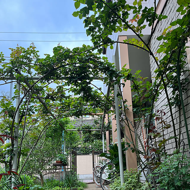 botanさんの実例写真