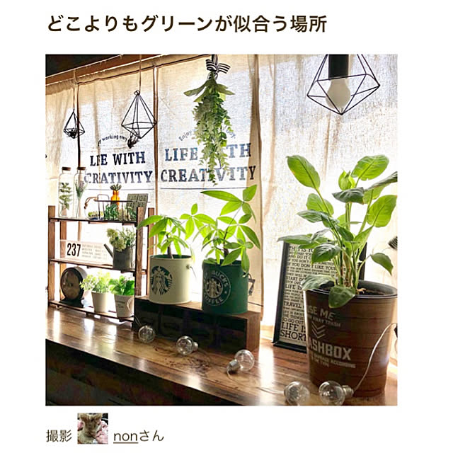 nonさんの実例写真