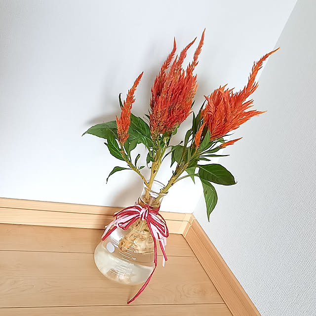 pomeさんの実例写真