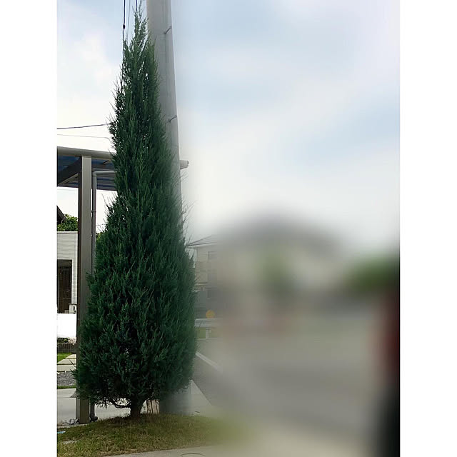 nono.0129さんの実例写真