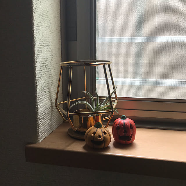 Karlyさんの実例写真