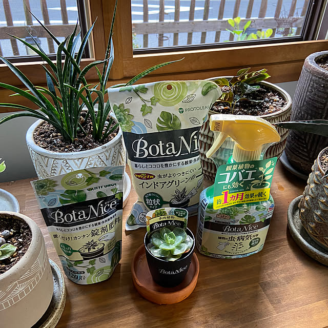yumiさんの部屋