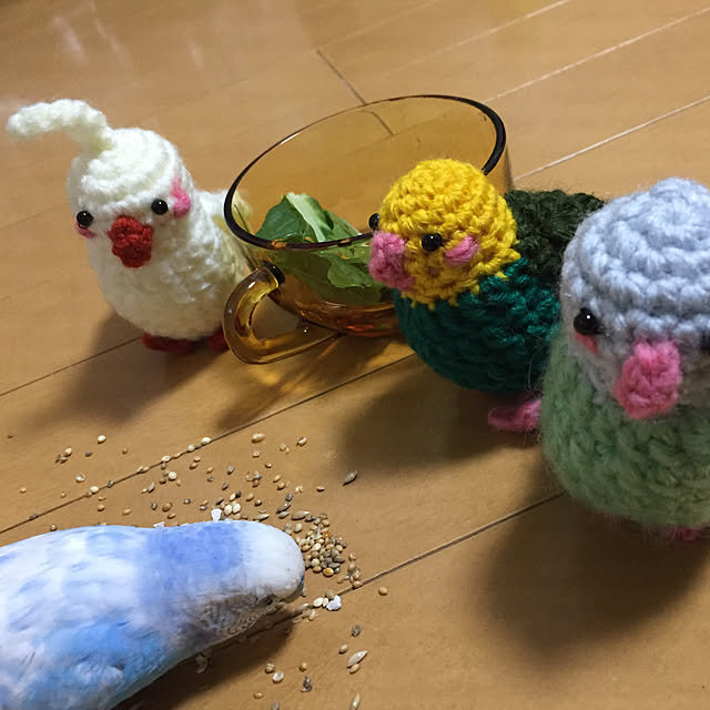 toratanさんの実例写真