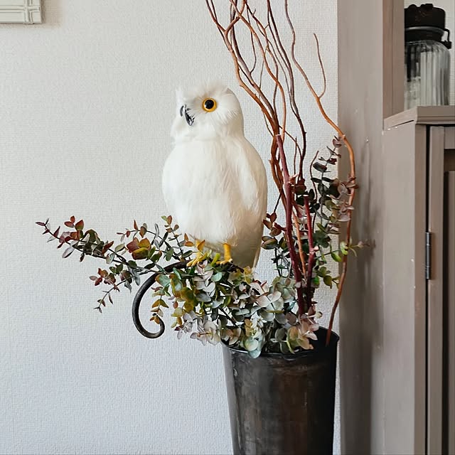 toukoさんの実例写真