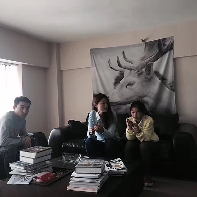 実例写真