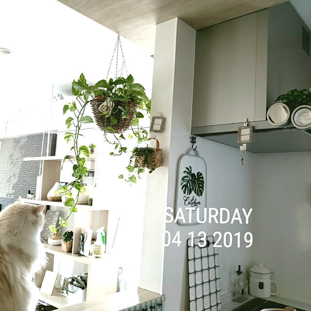 megu.catさんの実例写真