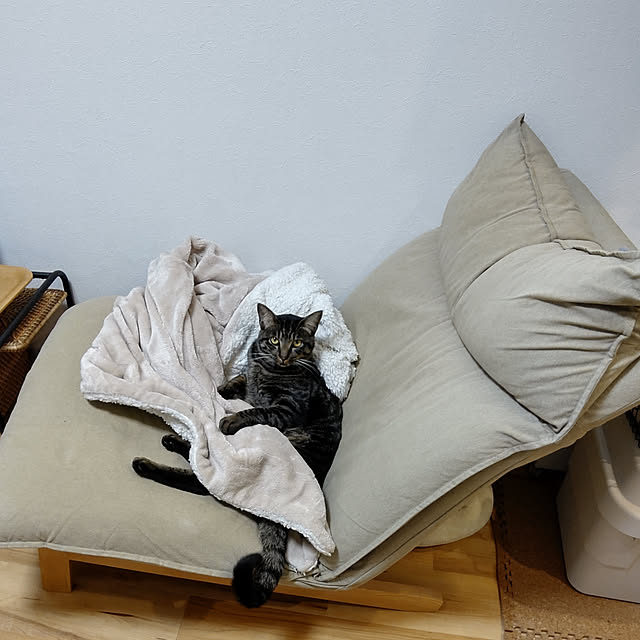 hihaさんの実例写真