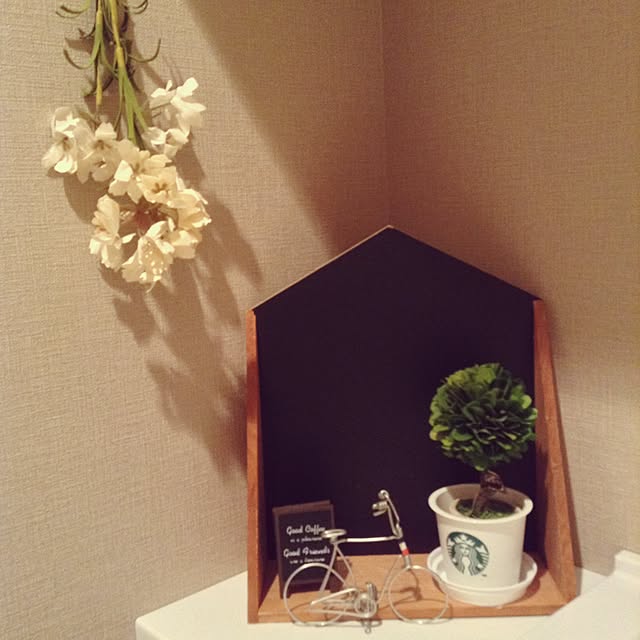 aya_antnさんの実例写真
