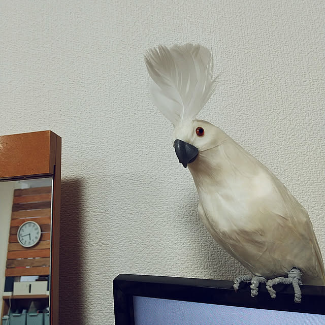 ujimAさんの実例写真