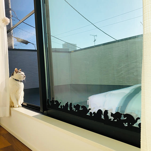 yunchiさんの実例写真