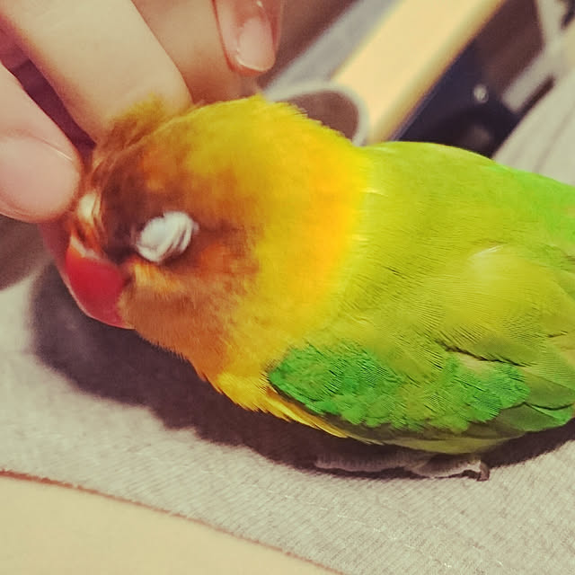 s.p.sunaoさんの実例写真