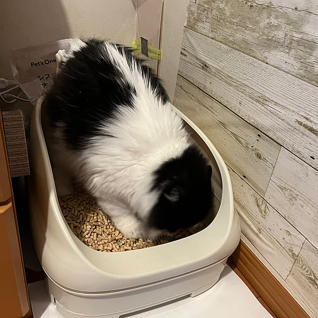 reonさんの実例写真
