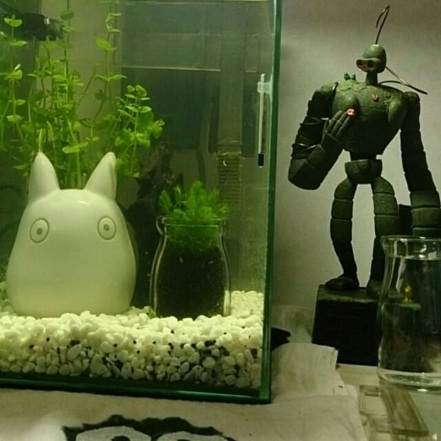 chiさんの実例写真
