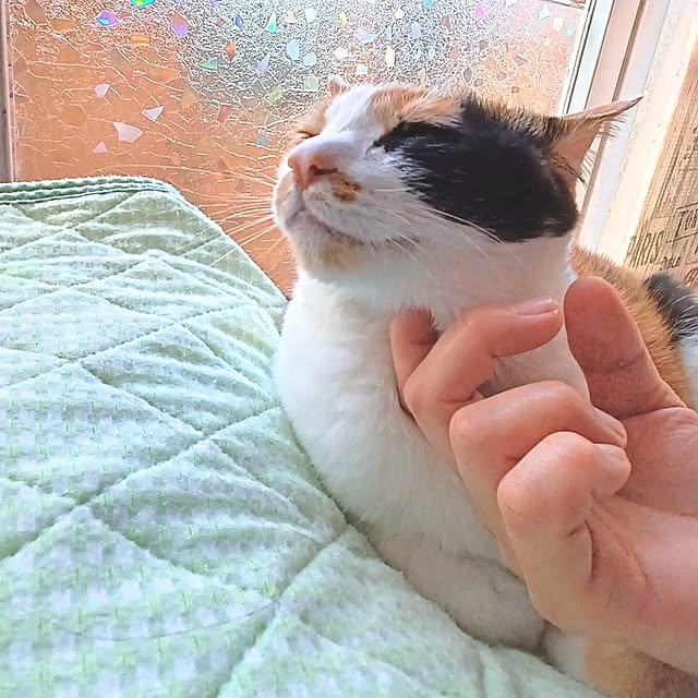 nanaさんの部屋