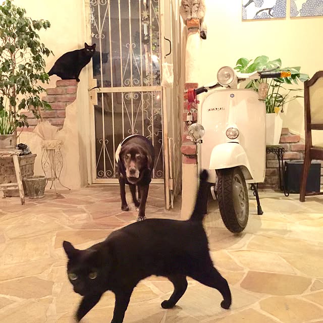rosemaryさんの実例写真