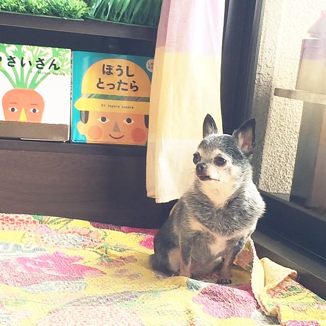 tubutanさんの実例写真