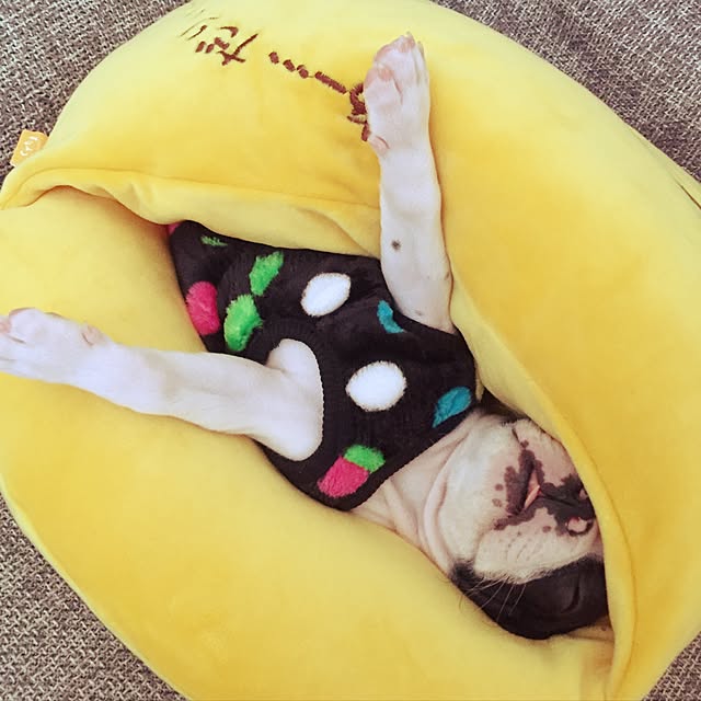 isocoさんの実例写真