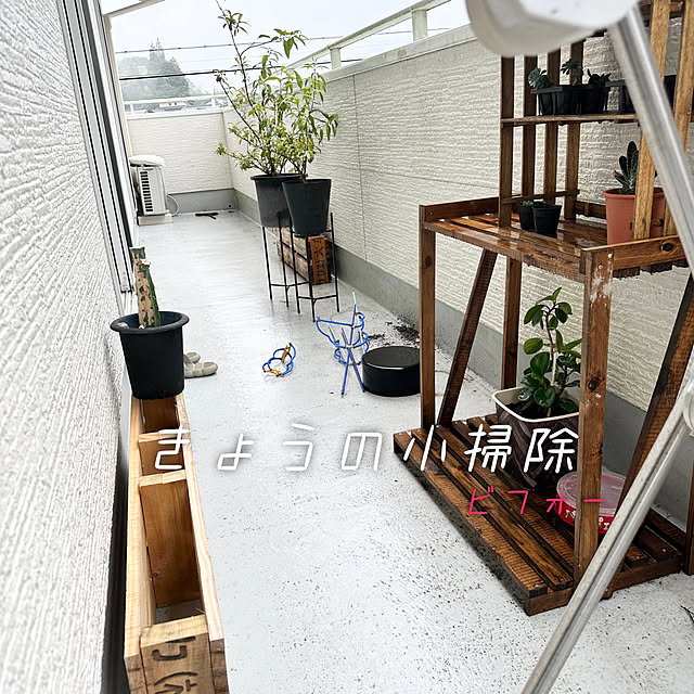 shiratamaさんの部屋