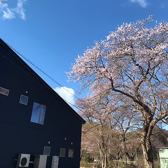 kaoさんの実例写真
