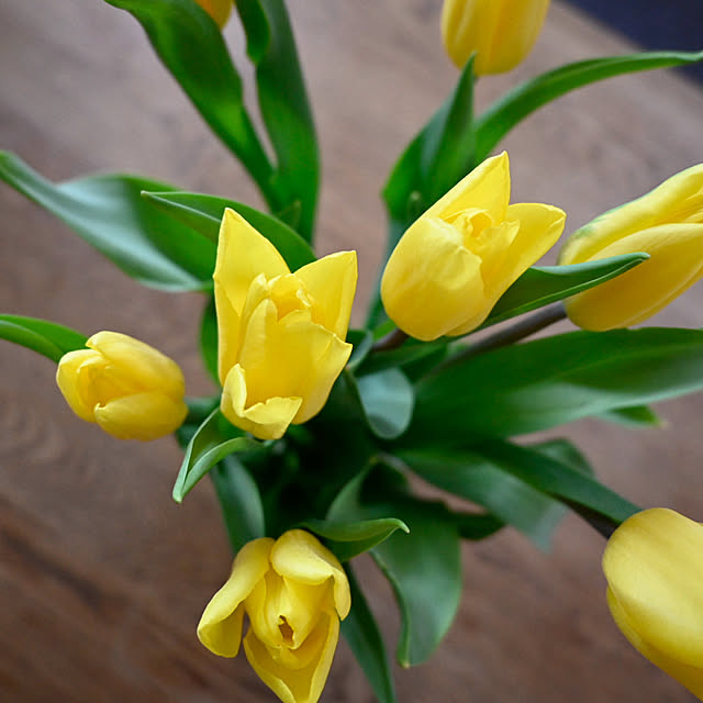 y.tora5さんの部屋