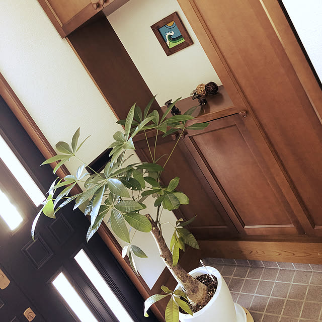 0405kakomikoさんの実例写真