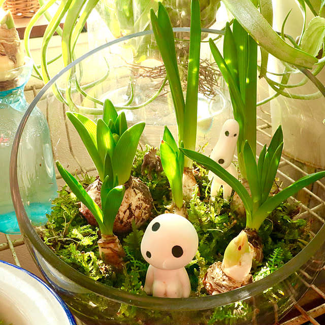 rukakoさんの部屋