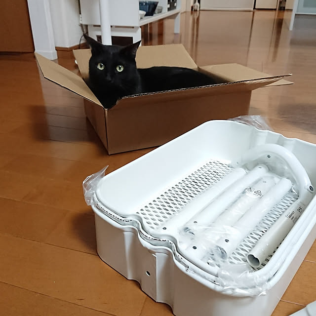 maikyさんの実例写真