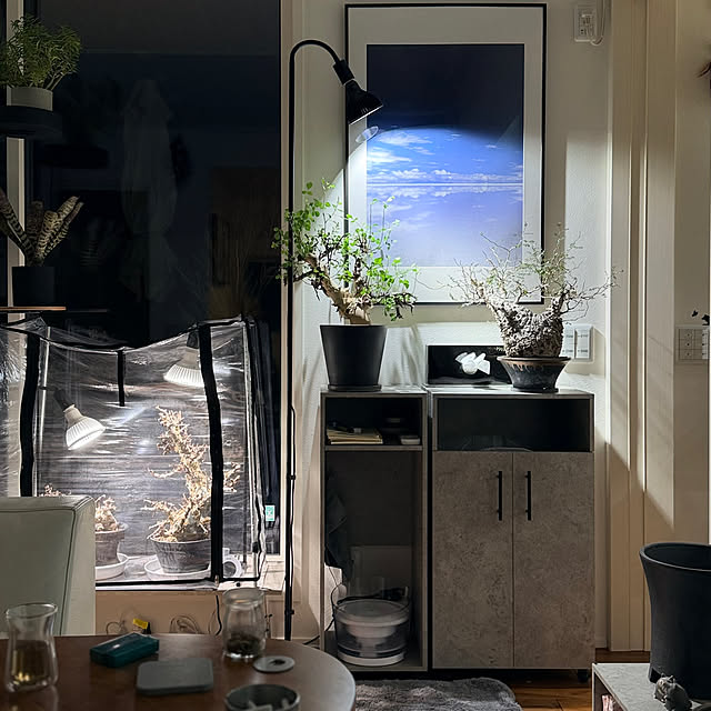 nuruiさんの実例写真