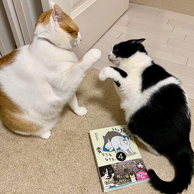 bikkeさんの実例写真
