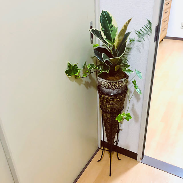 hanachanさんの部屋