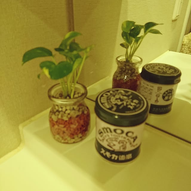 necomさんの実例写真