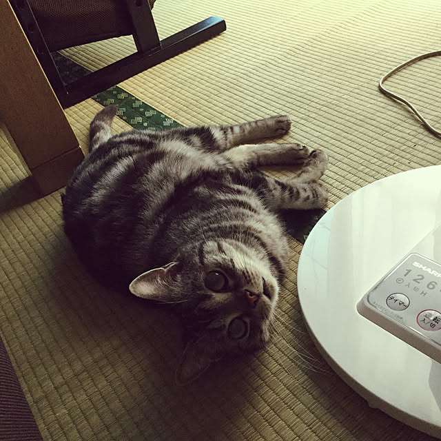 richanさんの実例写真