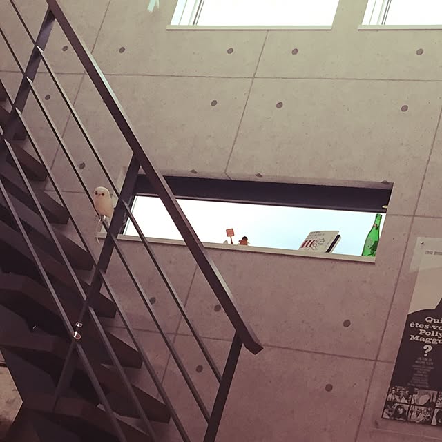 erinarieさんの実例写真