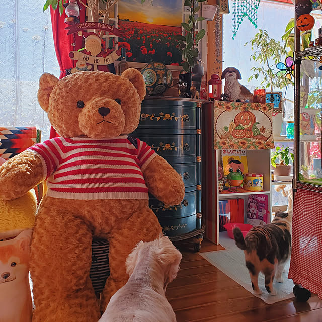 kumutanさんの実例写真
