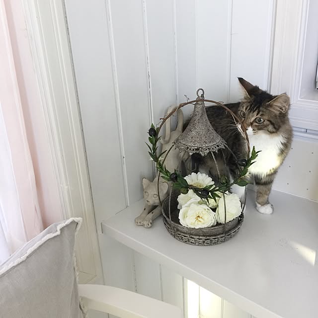 yuchiさんの実例写真