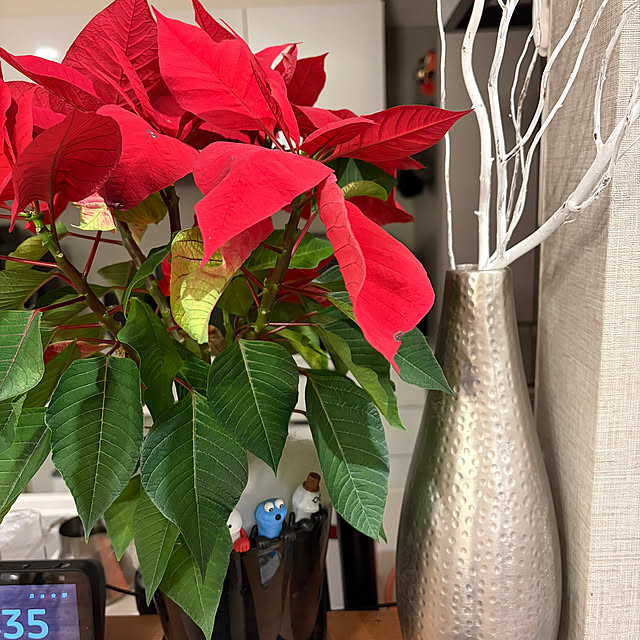 ikuzakさんの部屋