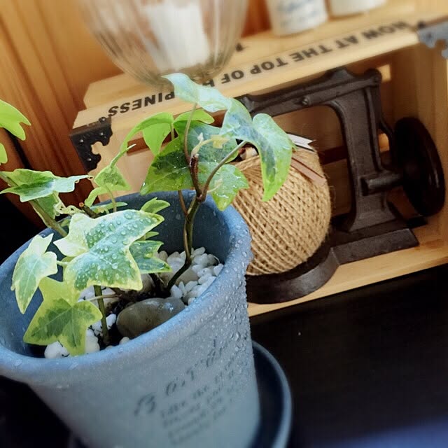 hiroさんの実例写真