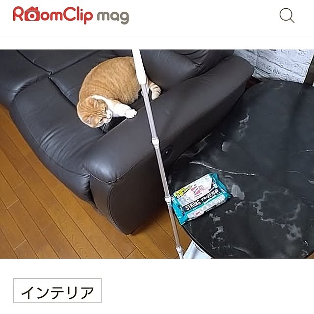 NOAHさんの実例写真