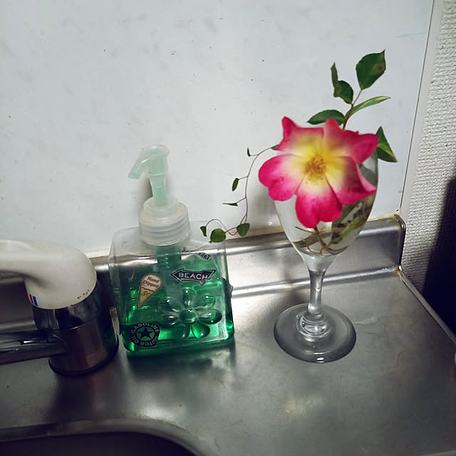 HAREさんの実例写真