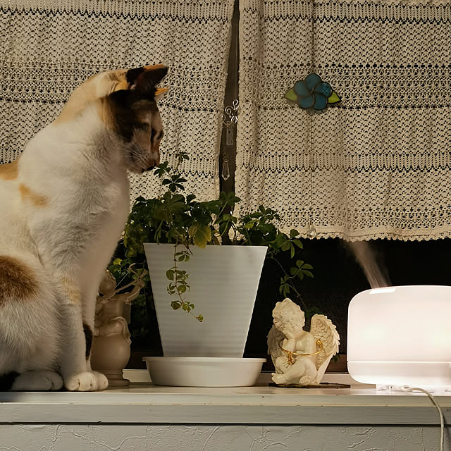 makuさんの実例写真