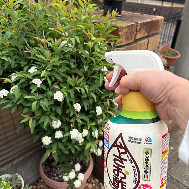 nannoさんの部屋