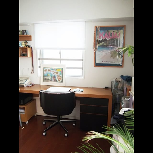 rurinosukeさんの実例写真