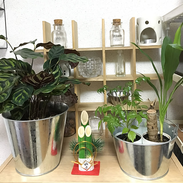 yomiyomiさんの実例写真