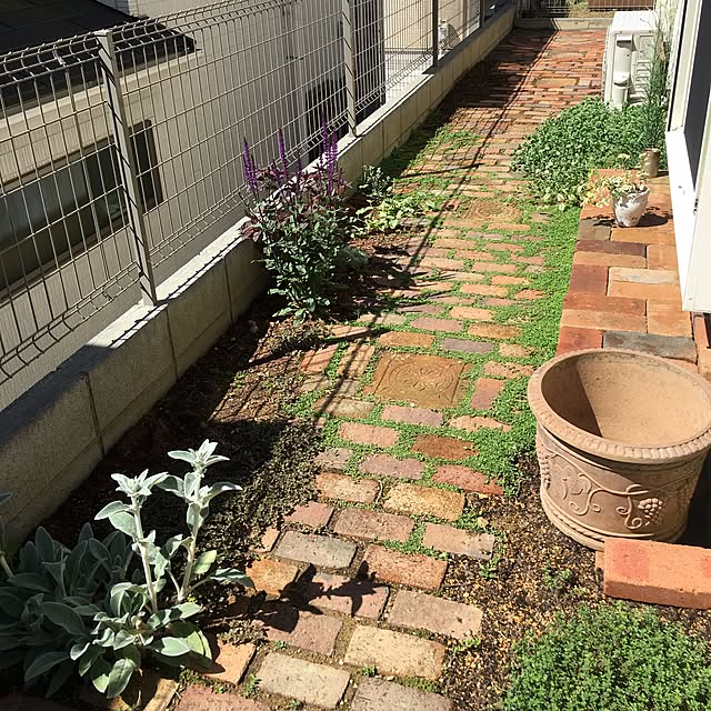 yoh-Sanさんの実例写真